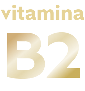 Vitamina B2