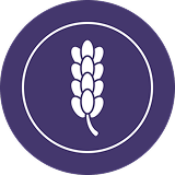 Farmaco tradizionale di origine vegetale