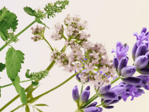Rimedi naturali per ansia e insonnia
